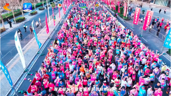 1743173291127797.png image.png