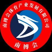 南博会首创武超C4联赛,开启百城嘉年华